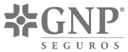 GNP Seguros